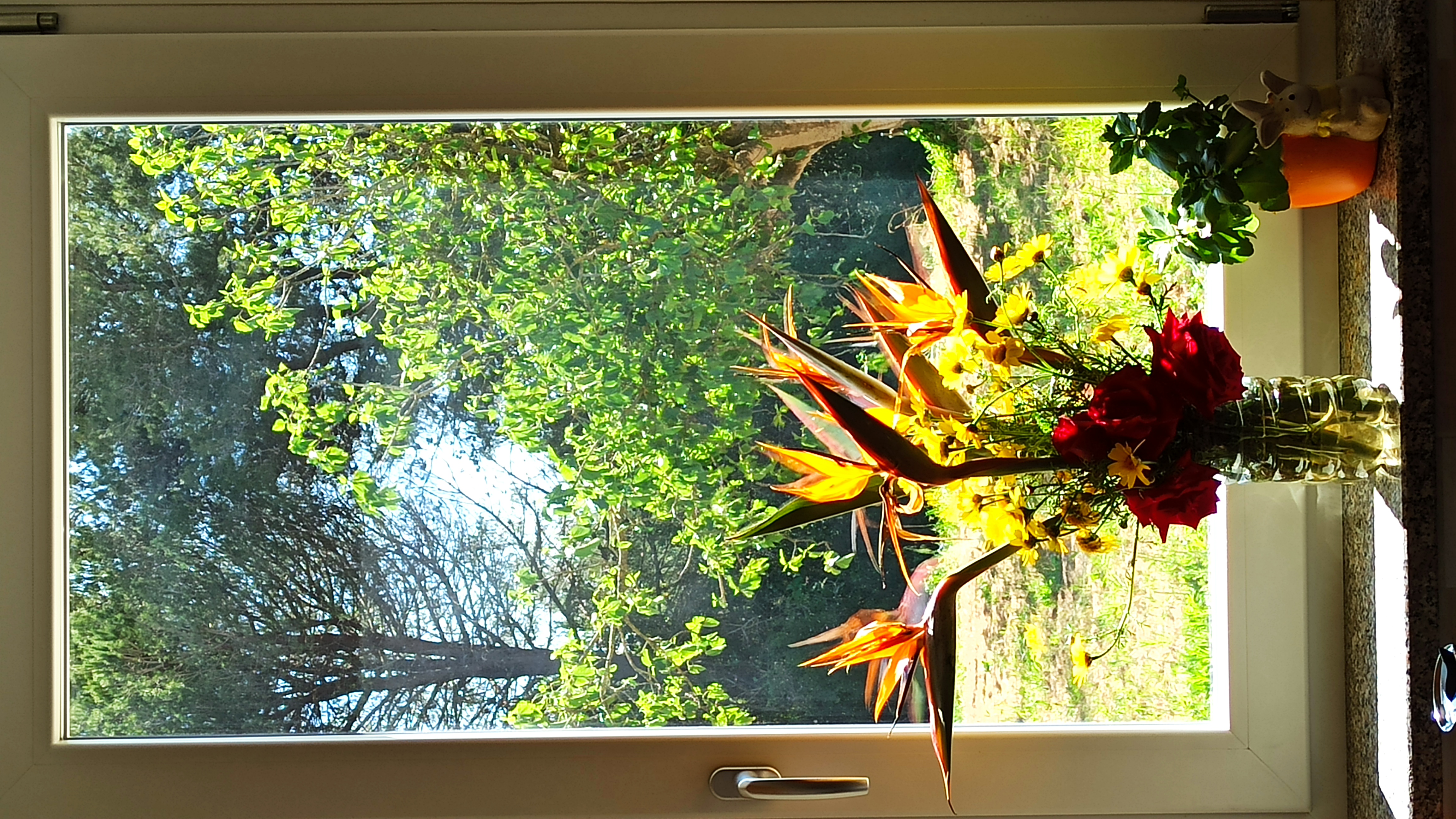 Fiori 20260428