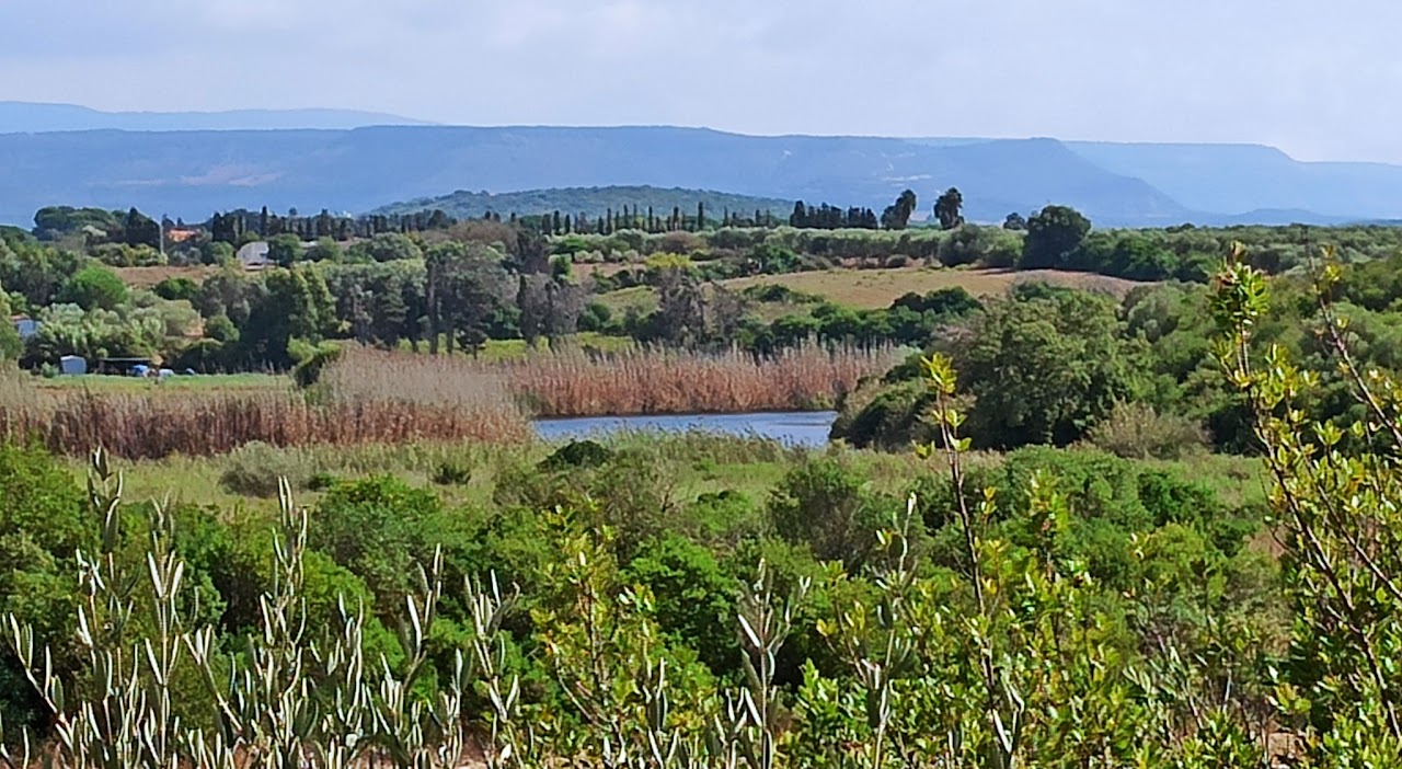Rio Barca con teleobiettivo